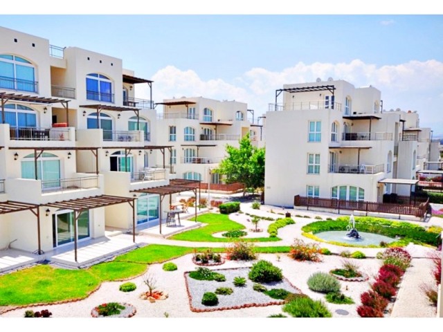 apartments for rent in Cyprus